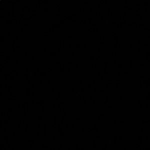 Meet your Posher, Jubelys